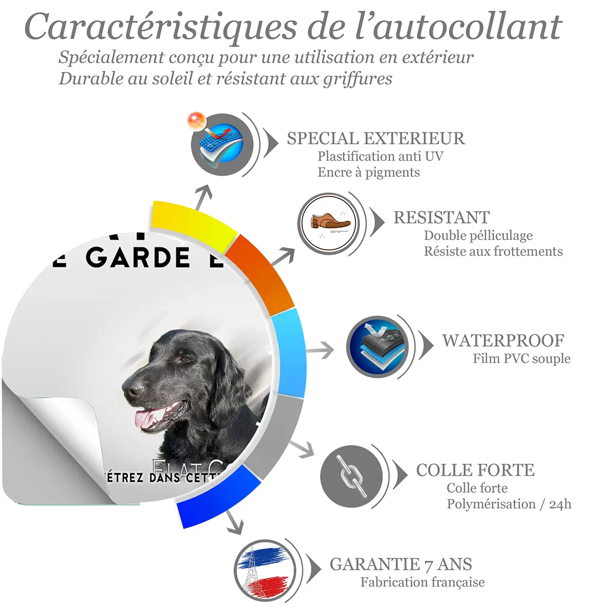 Sticker Deux Flat Coated Retrievers en gros plan