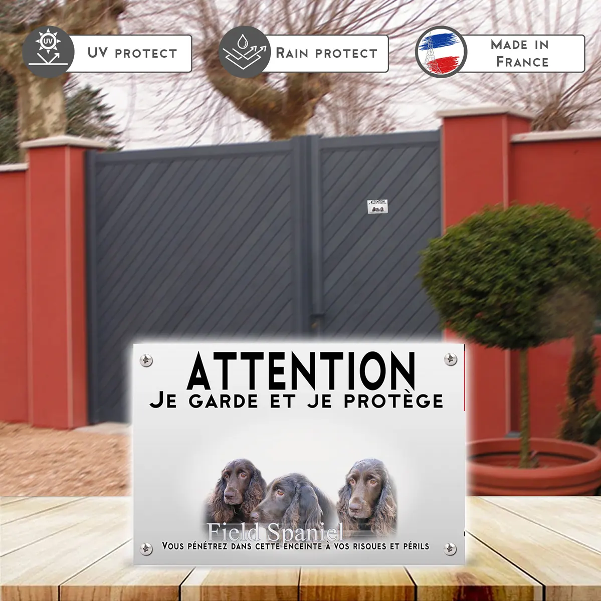 Plaques Trois chiens Field Spaniel avec un fond flou