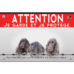 Signalisation personnalisee Trois chiens Field Spaniel avec un fond flou