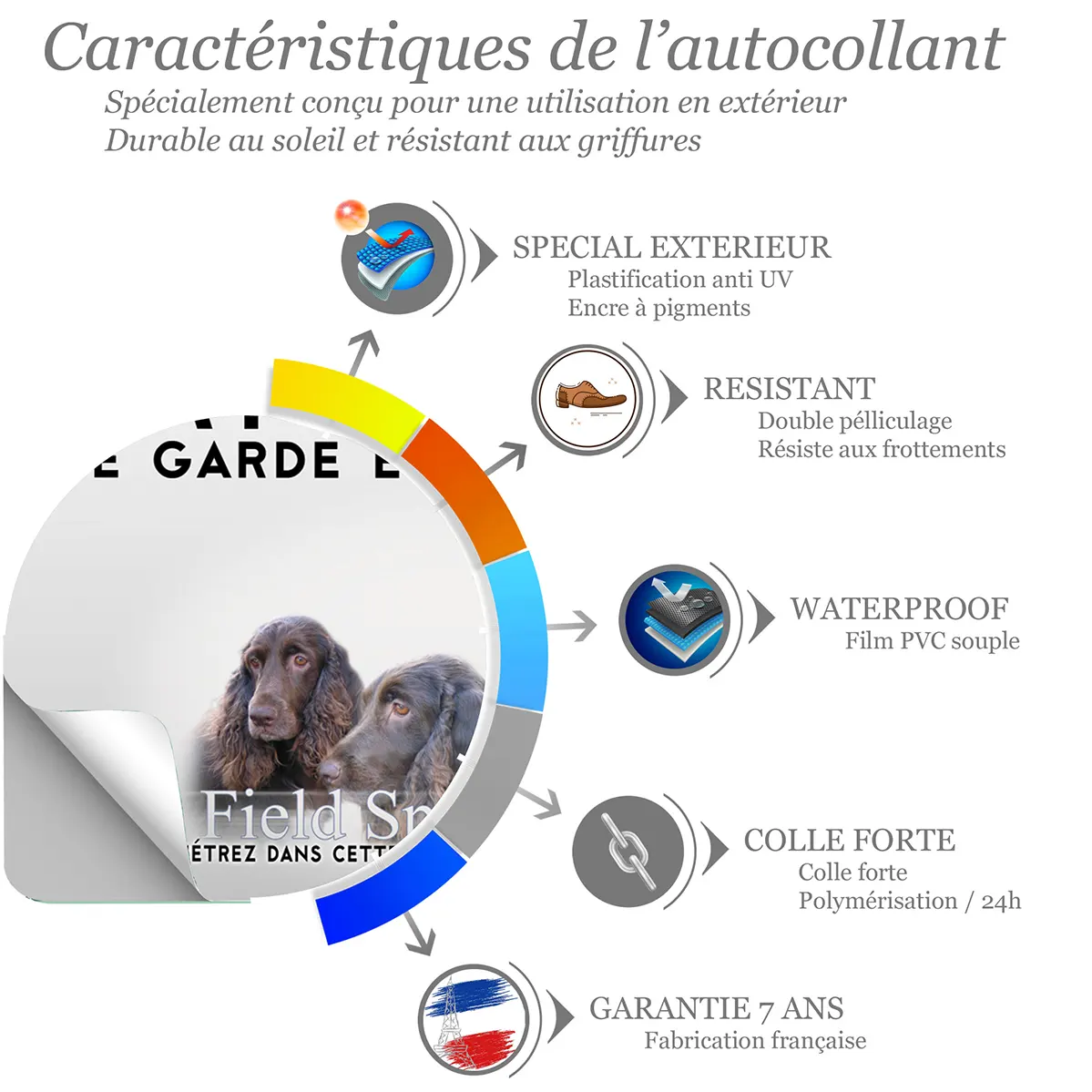 Sticker Trois chiens Field Spaniel avec un fond flou