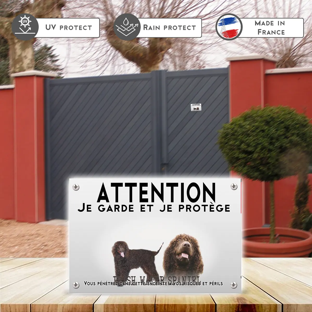 Plaques Deux Irish Water Spaniels avec poils frisés.