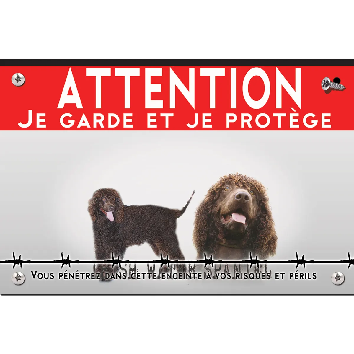 Signalisation personnalisee Deux Irish Water Spaniels avec poils frisés.
