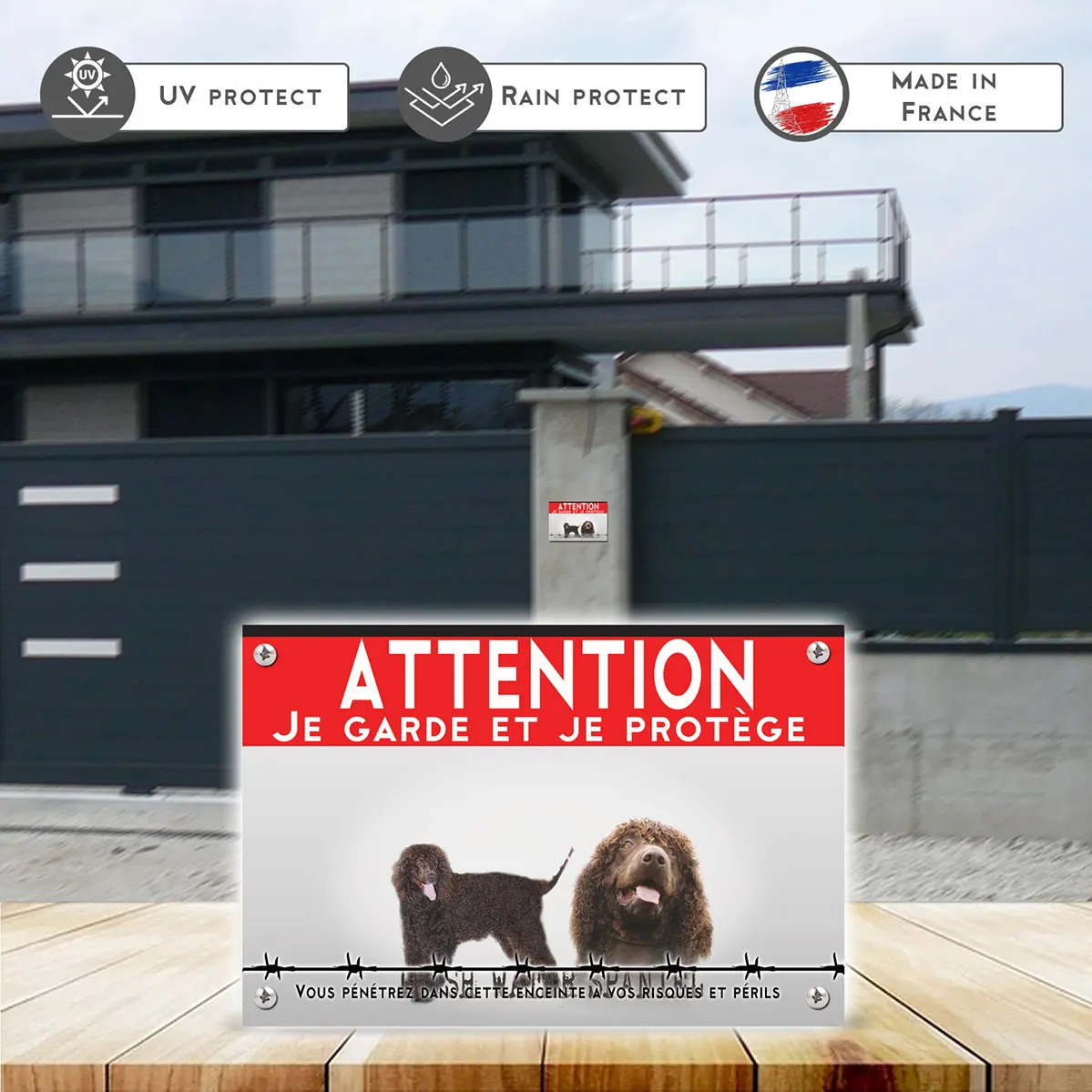 Grande pancarte Deux Irish Water Spaniels avec poils frisés.