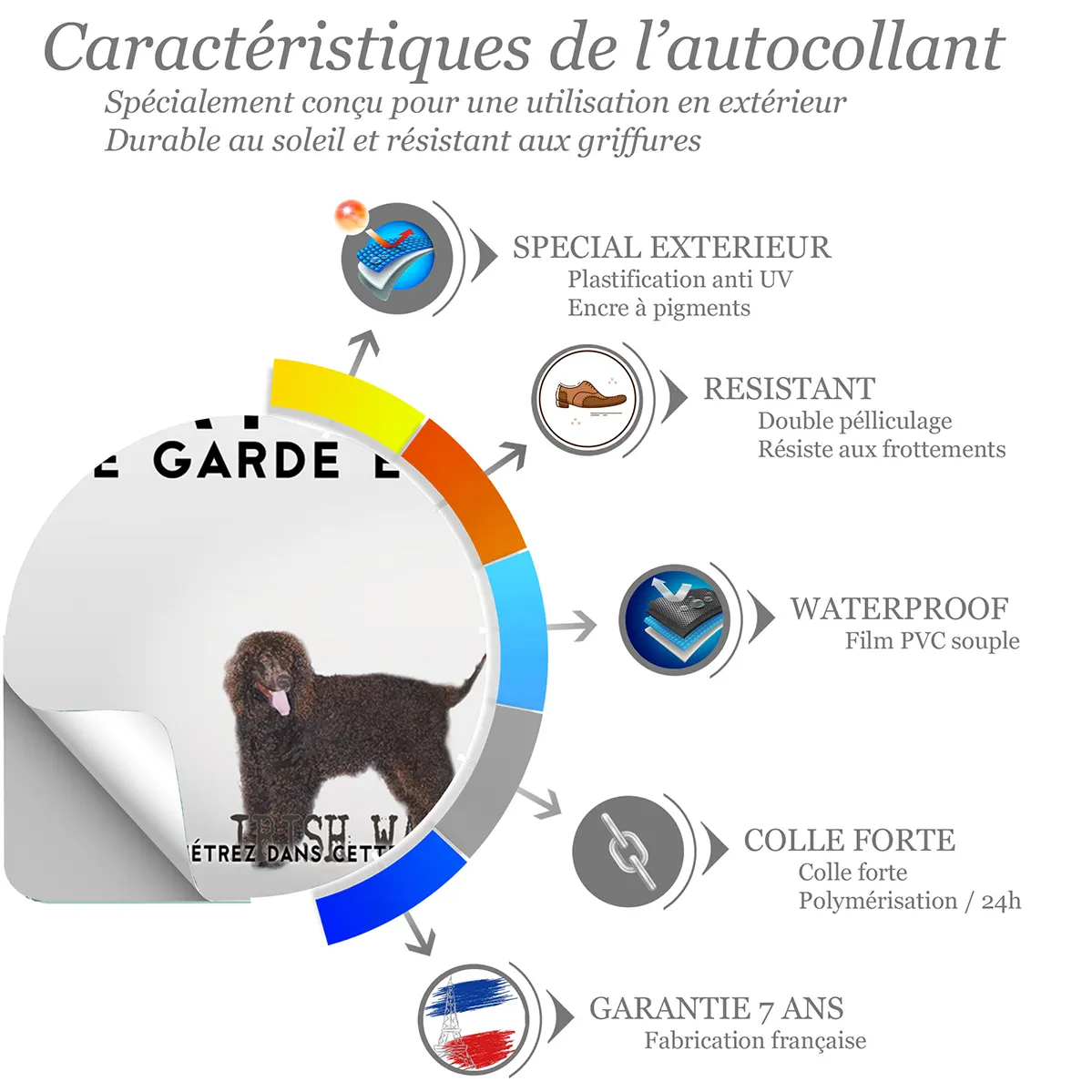 Sticker Deux Irish Water Spaniels avec poils frisés.