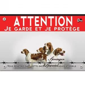 Signalisation personnalisee Welsh Springer Spaniel en multiple angles de vue