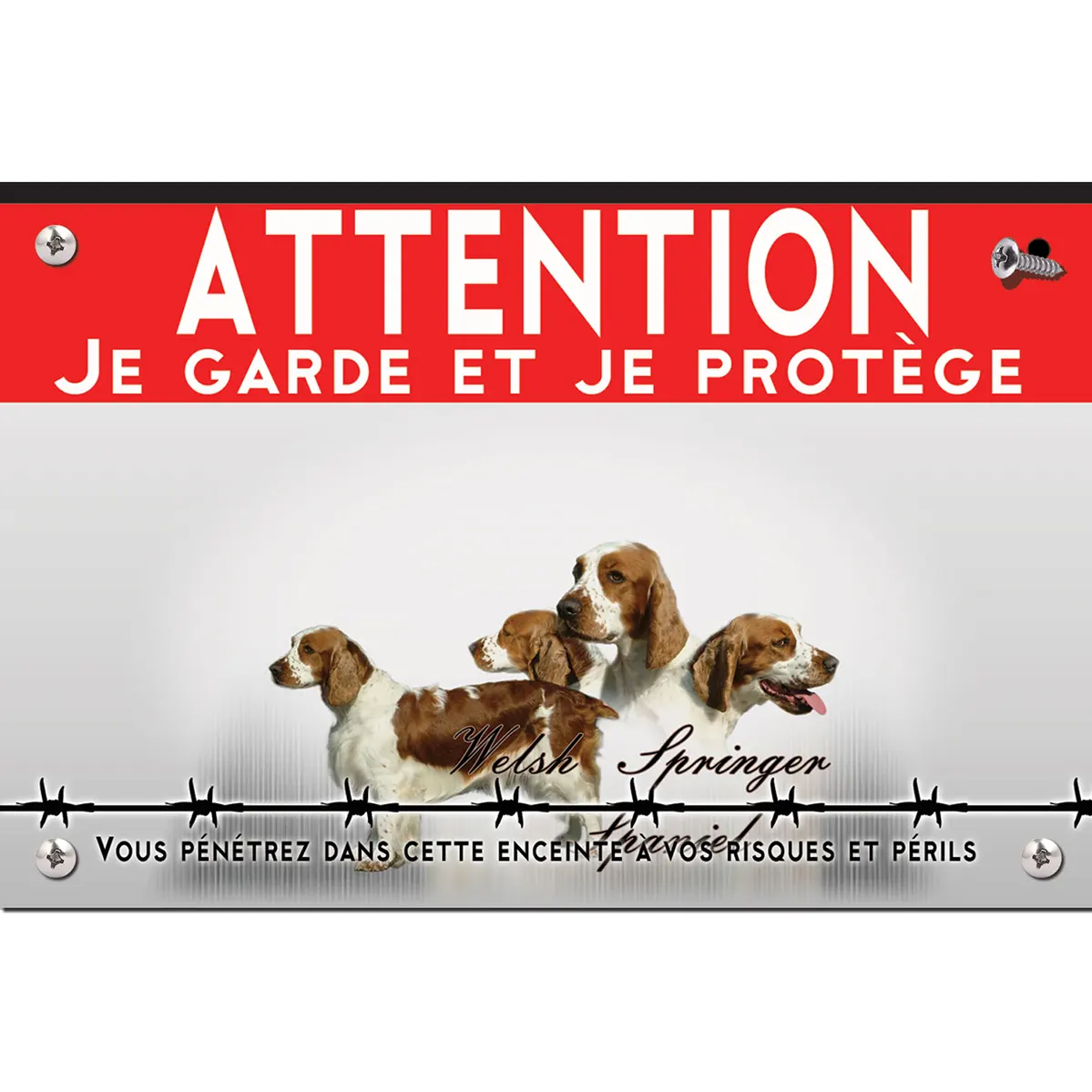 Signalisation personnalisee Welsh Springer Spaniel en multiple angles de vue