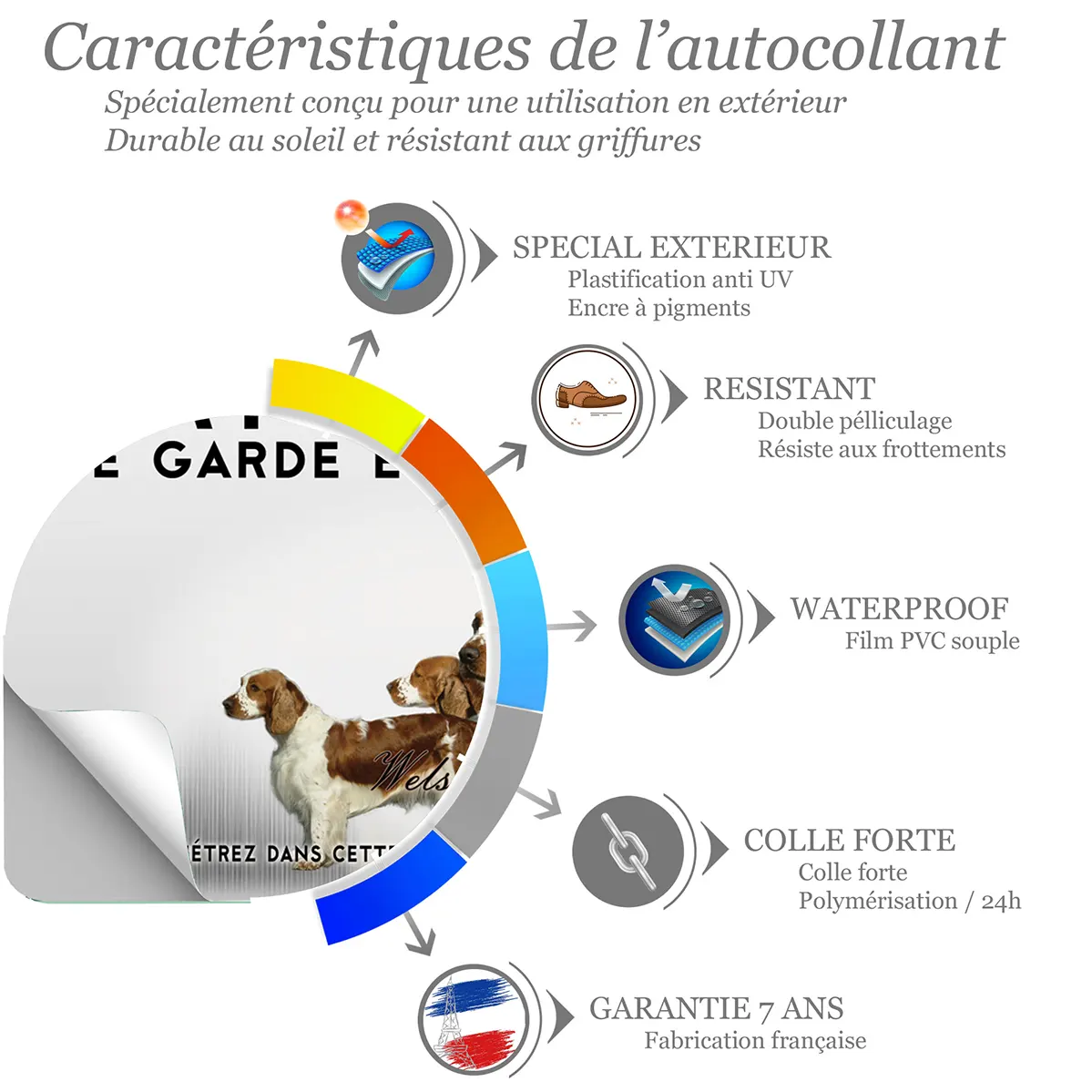 Sticker Welsh Springer Spaniel en multiple angles de vue