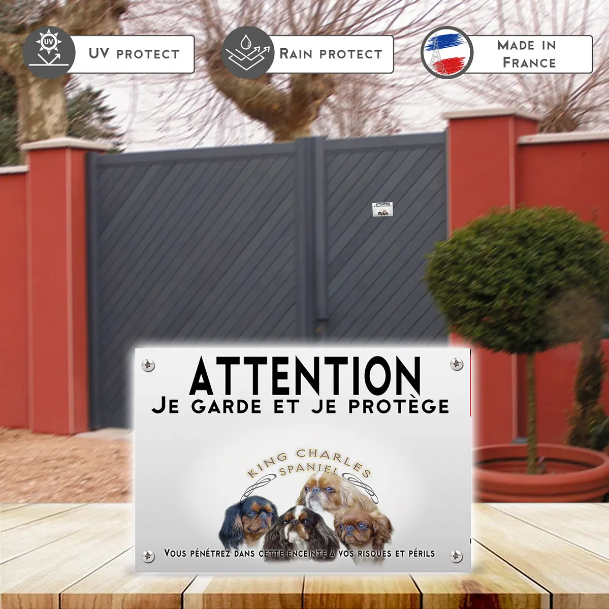 Plaques Quatre chiens King Charles Spaniel sur fond noir