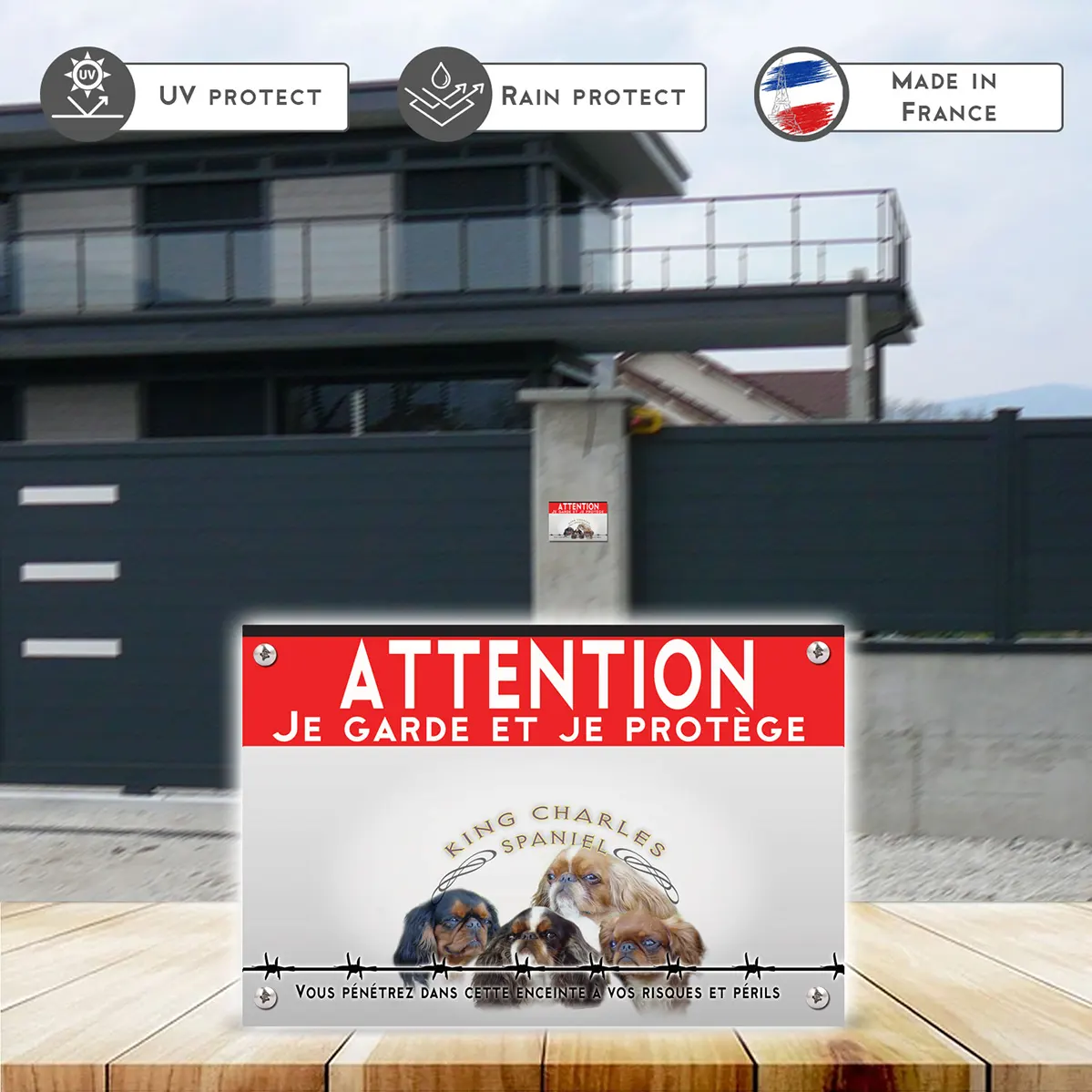 Grande pancarte Quatre chiens King Charles Spaniel sur fond noir