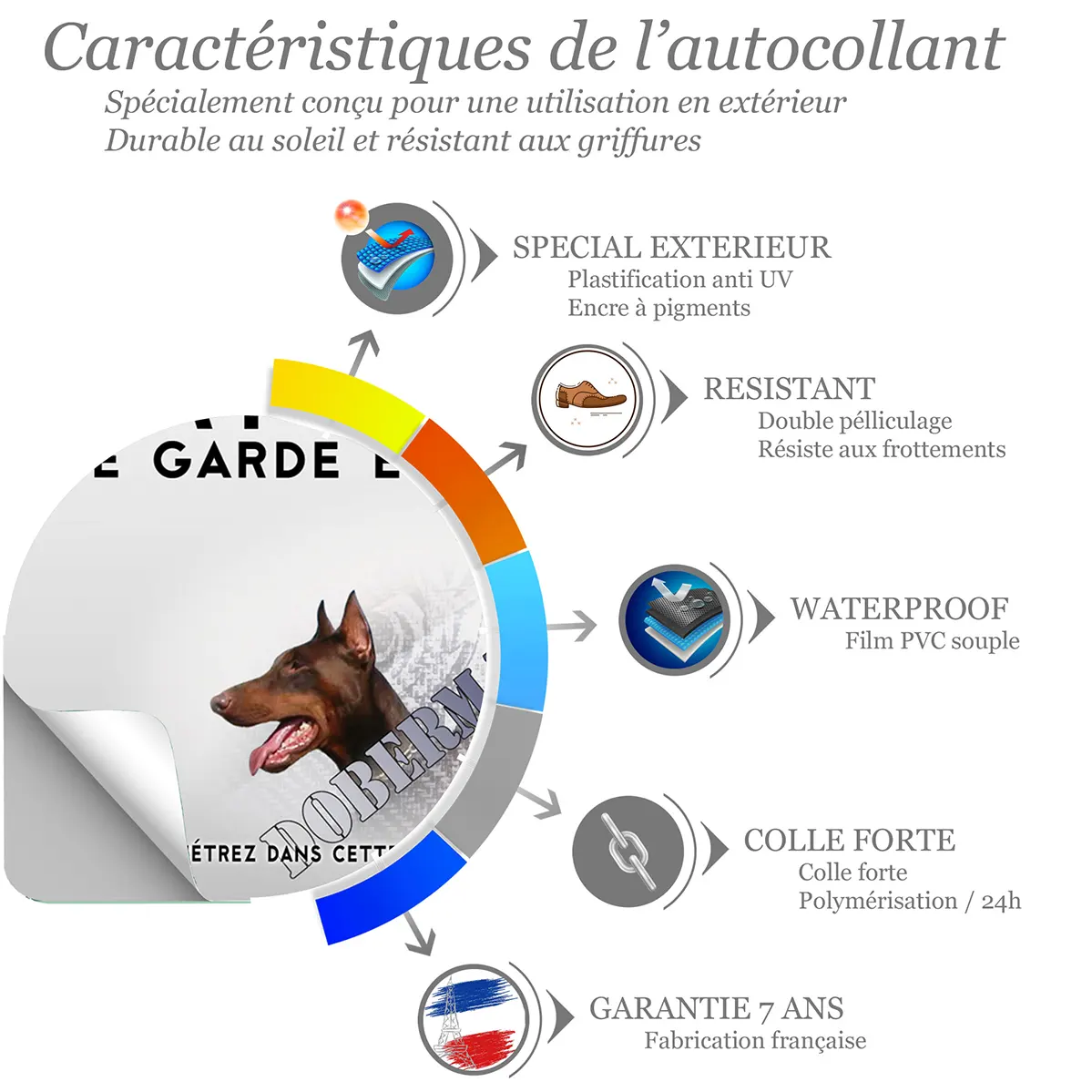 Sticker Image de deux Dobermanns avec texte
