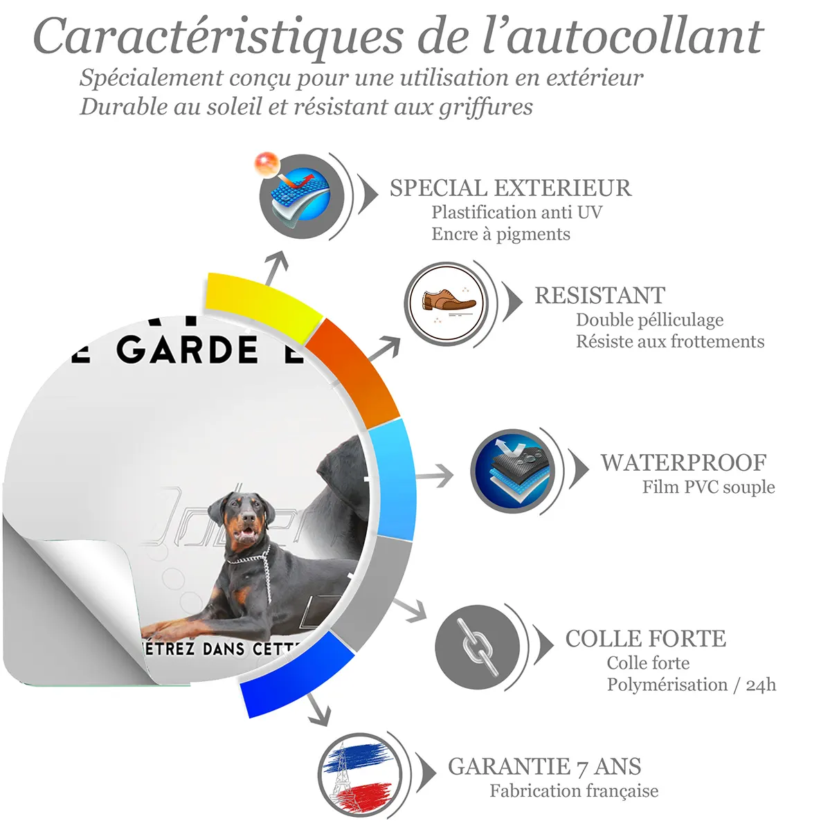 Sticker Deux Dobermans