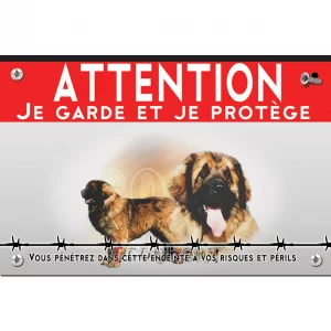 Signalisation personnalisee Un Leonberg avec un arrière plan coloré