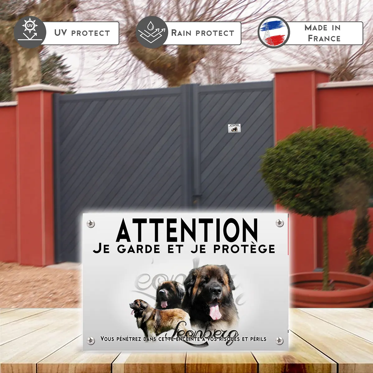 Plaques Collage de chiens Léonberg avec un fond coloré