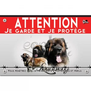 Signalisation personnalisee Collage de chiens Léonberg avec un fond coloré