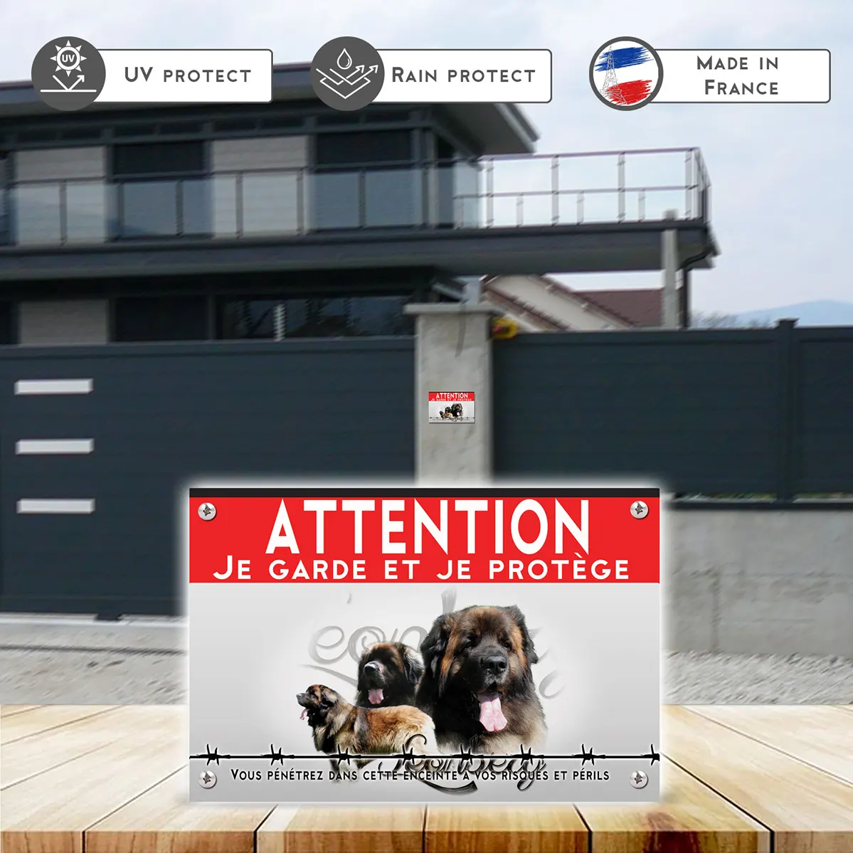 Grande pancarte Collage de chiens Léonberg avec un fond coloré