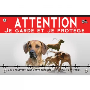 Signalisation personnalisee Portrait et plusieurs Rhodesian Ridgeback en train de jouer.