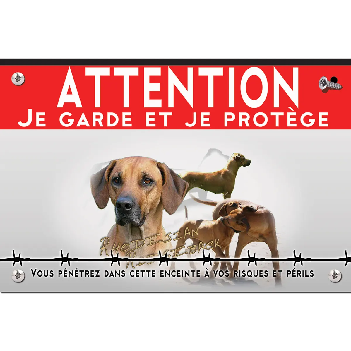 Signalisation personnalisee Portrait et plusieurs Rhodesian Ridgeback en train de jouer.
