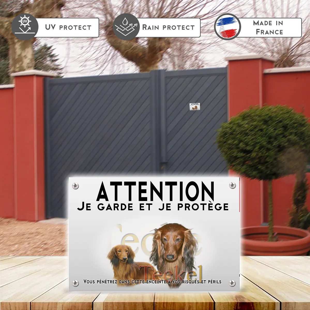 Plaques Visuel de deux Teckels à poil long avec le texte Teckel