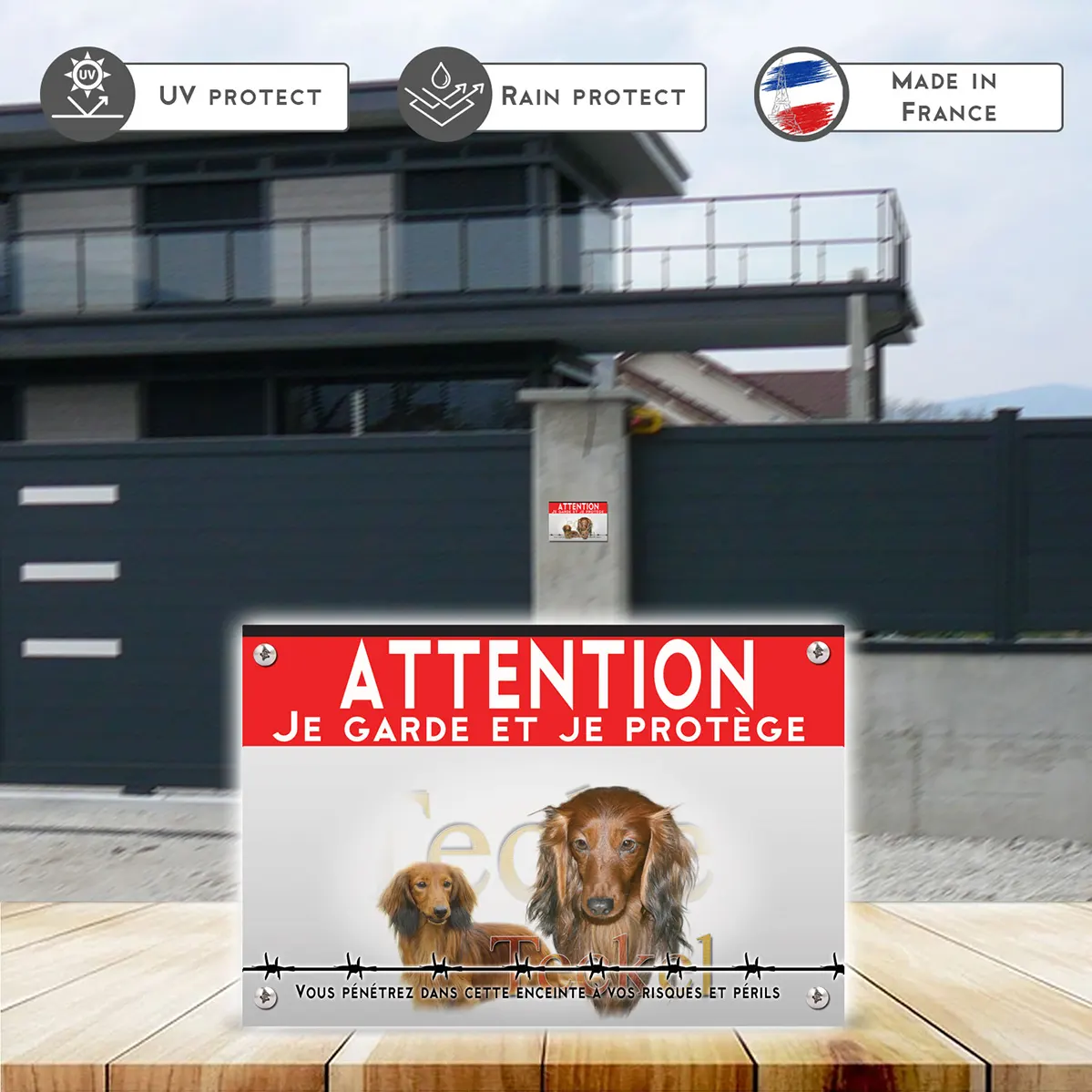 Grande pancarte Visuel de deux Teckels à poil long avec le texte Teckel