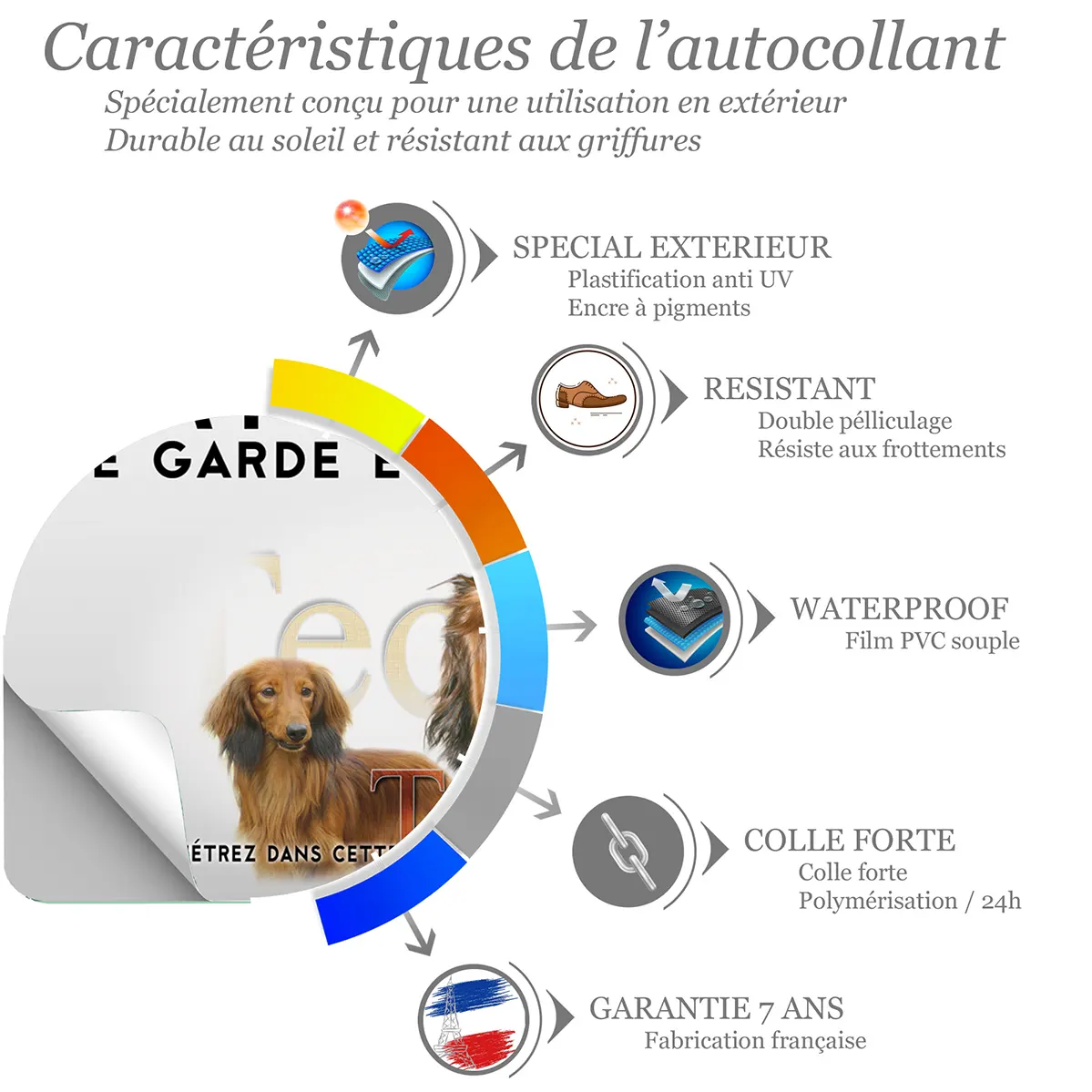 Sticker Visuel de deux Teckels à poil long avec le texte Teckel