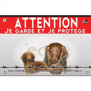 Signalisation personnalisee Deux Dachshunds au pelage brun