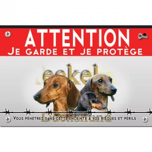 Signalisation personnalisee Trois portraits de Dachshund sur fond vert foncé