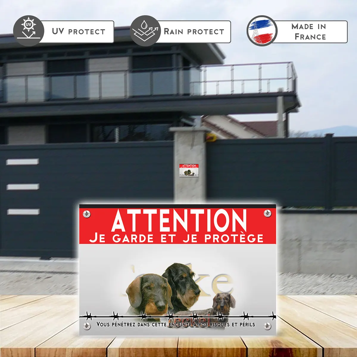 Grande pancarte Visuel de Teckels avec têtes et un chien entier