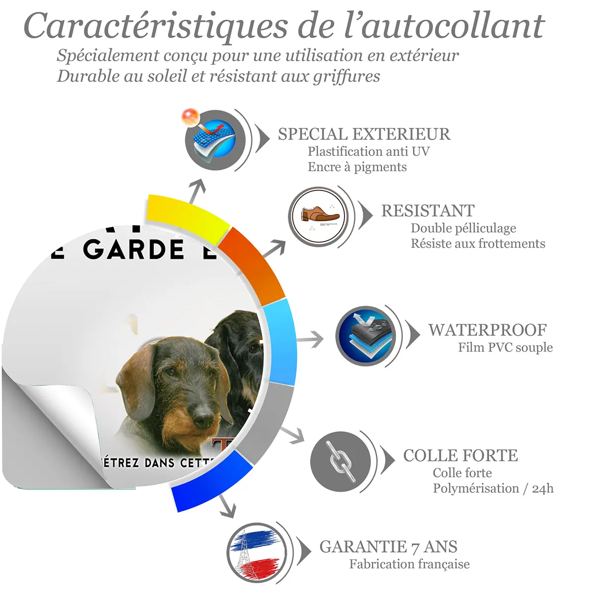 Sticker Visuel de Teckels avec têtes et un chien entier