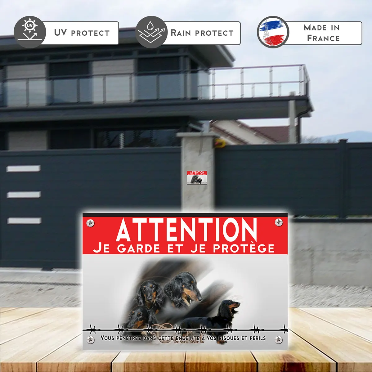 Grande pancarte Quatre Teckels avec longs poils et un en entier