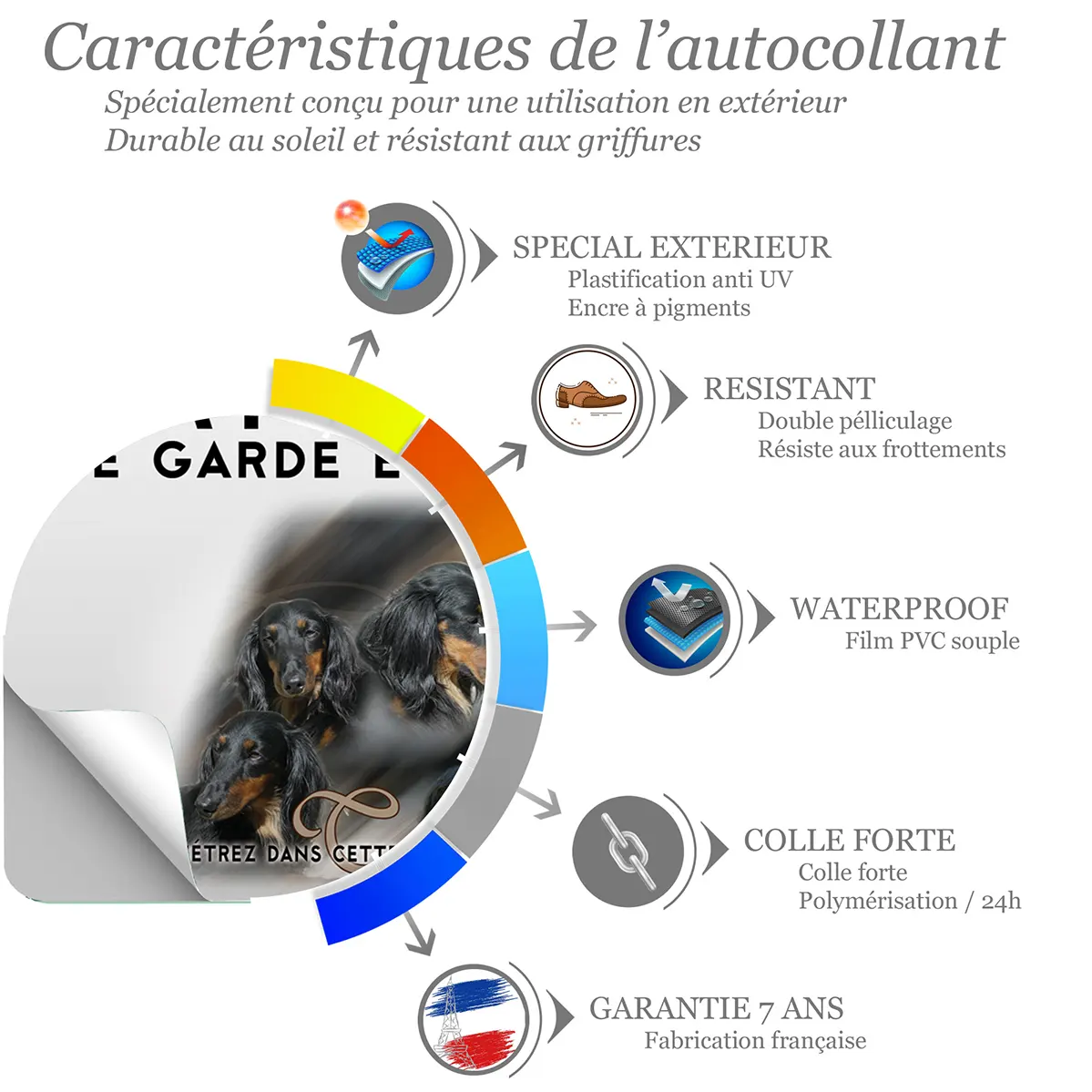 Sticker Quatre Teckels avec longs poils et un en entier