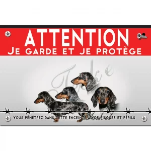 Signalisation personnalisee Collage de Teckels avec différentes expressions