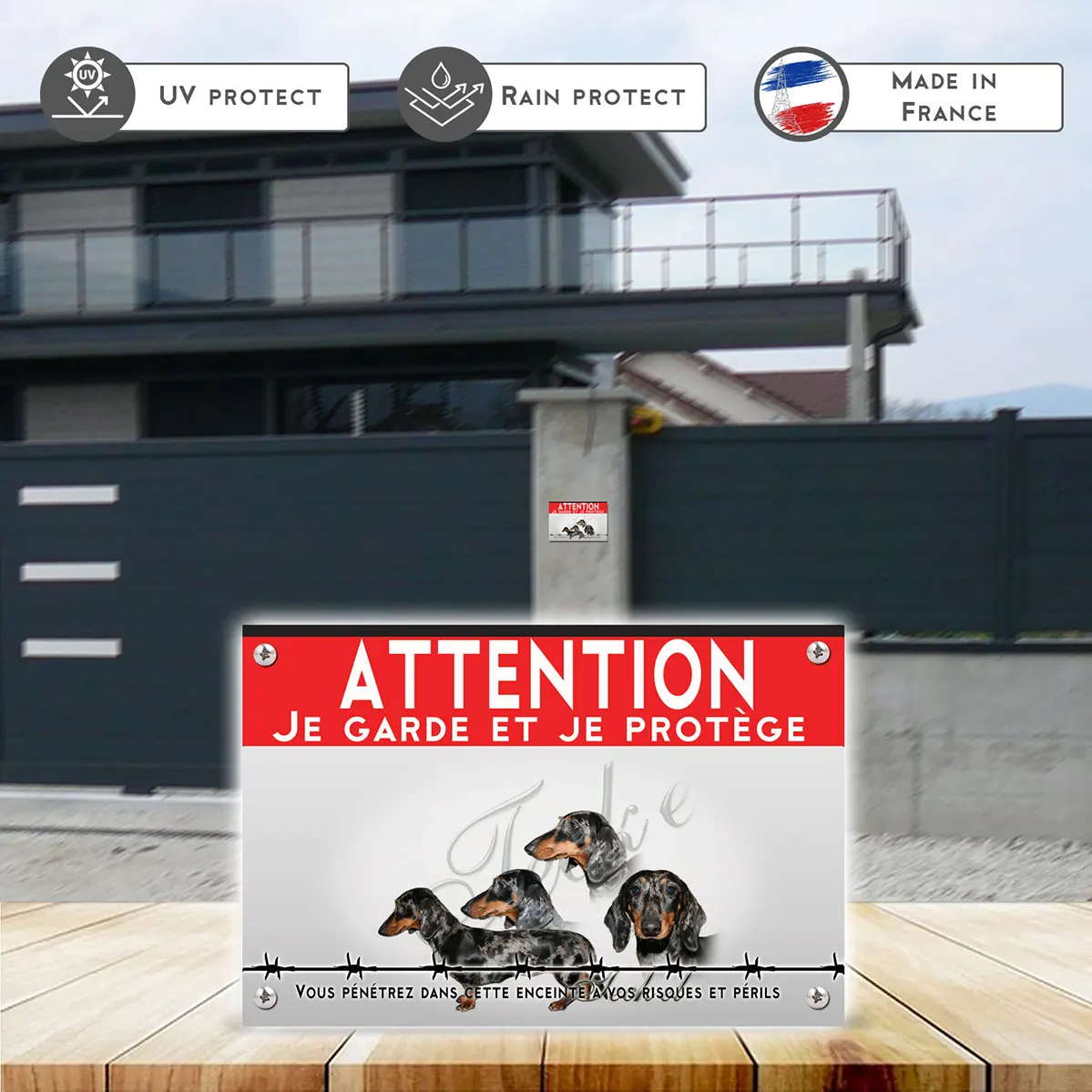 Grande pancarte Collage de Teckels avec différentes expressions