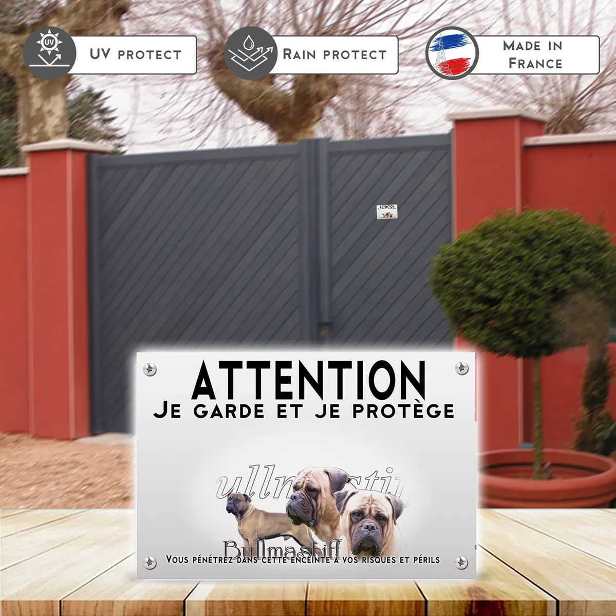 Plaques Trois bullmastiffs en gros plan et un en entier