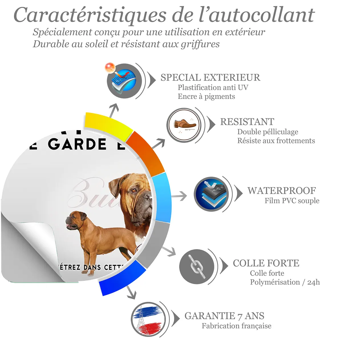 Sticker Bullmastiff avec 3 têtes et un chien entier