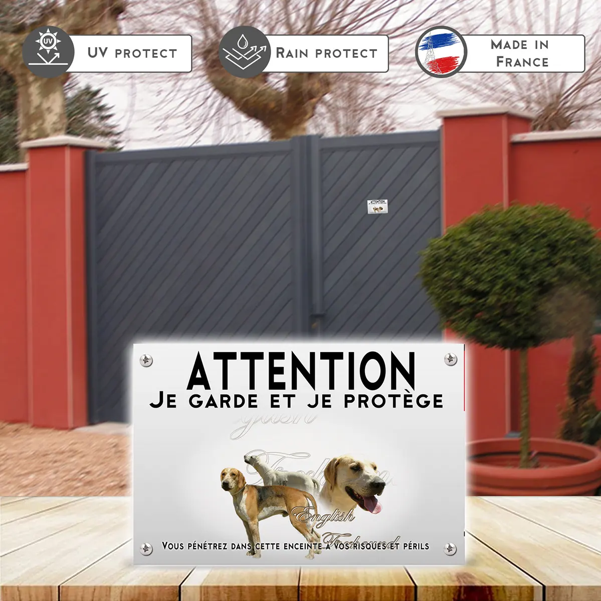 Plaques Deux English Foxhounds en pleine nature