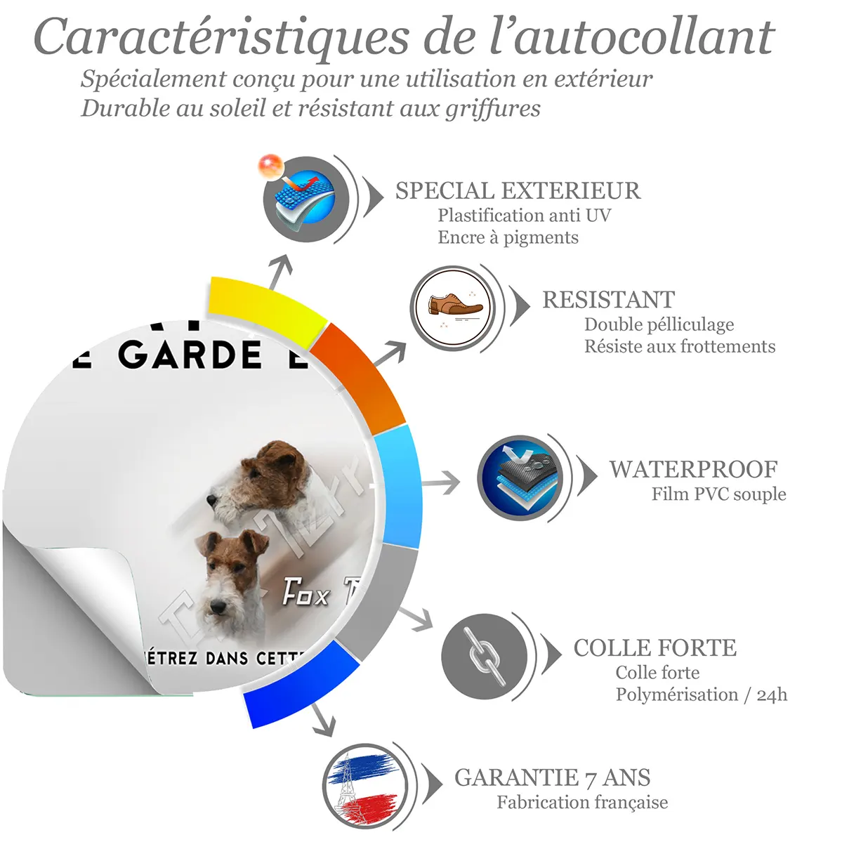 Sticker Trois Fox Terriers avec différentes poses et couleurs