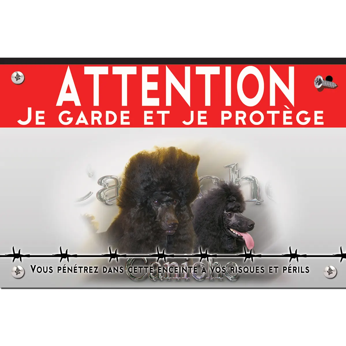 Signalisation personnalisee Deux caniches noirs avec un pelage bouclé et volumineux