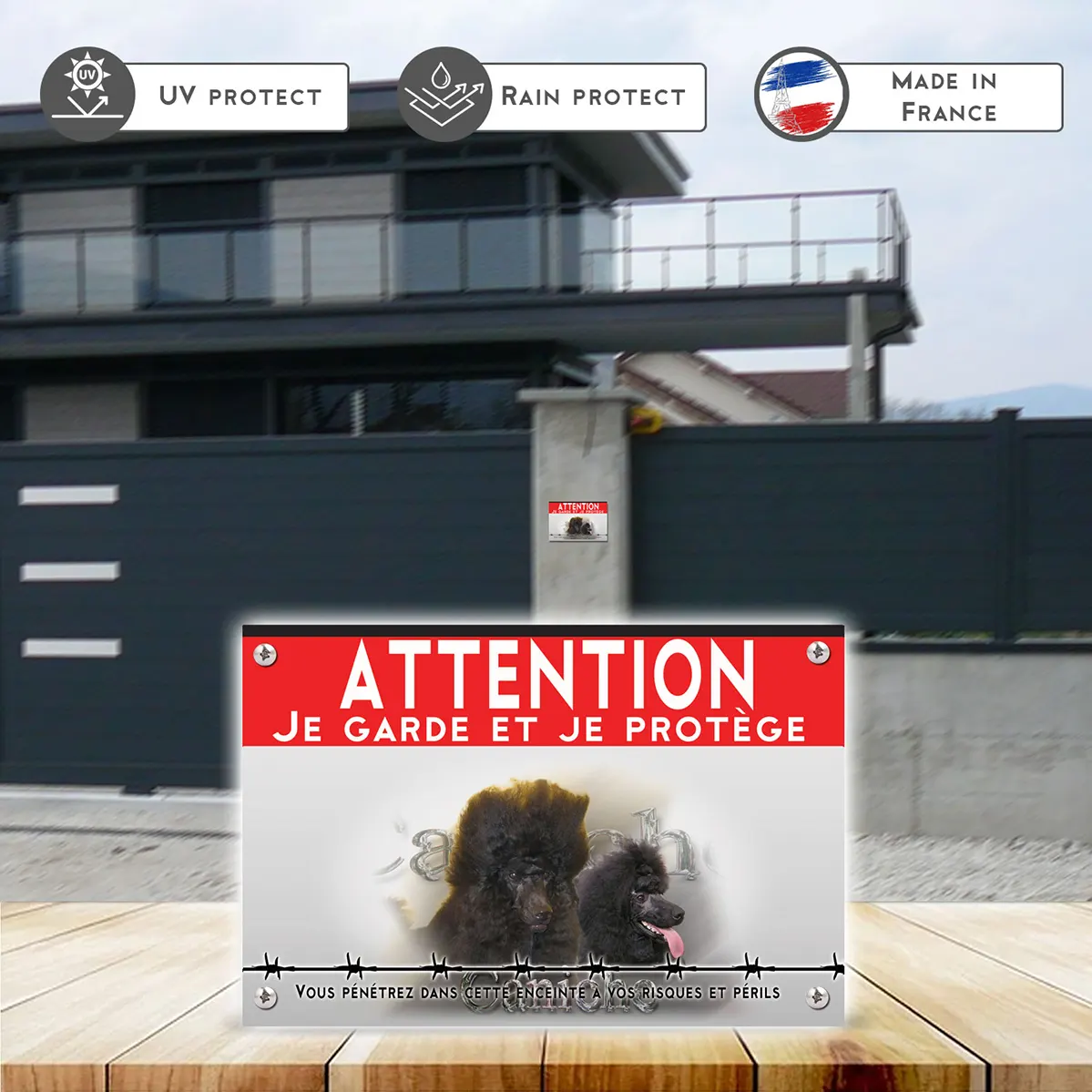 Grande pancarte Deux caniches noirs avec un pelage bouclé et volumineux