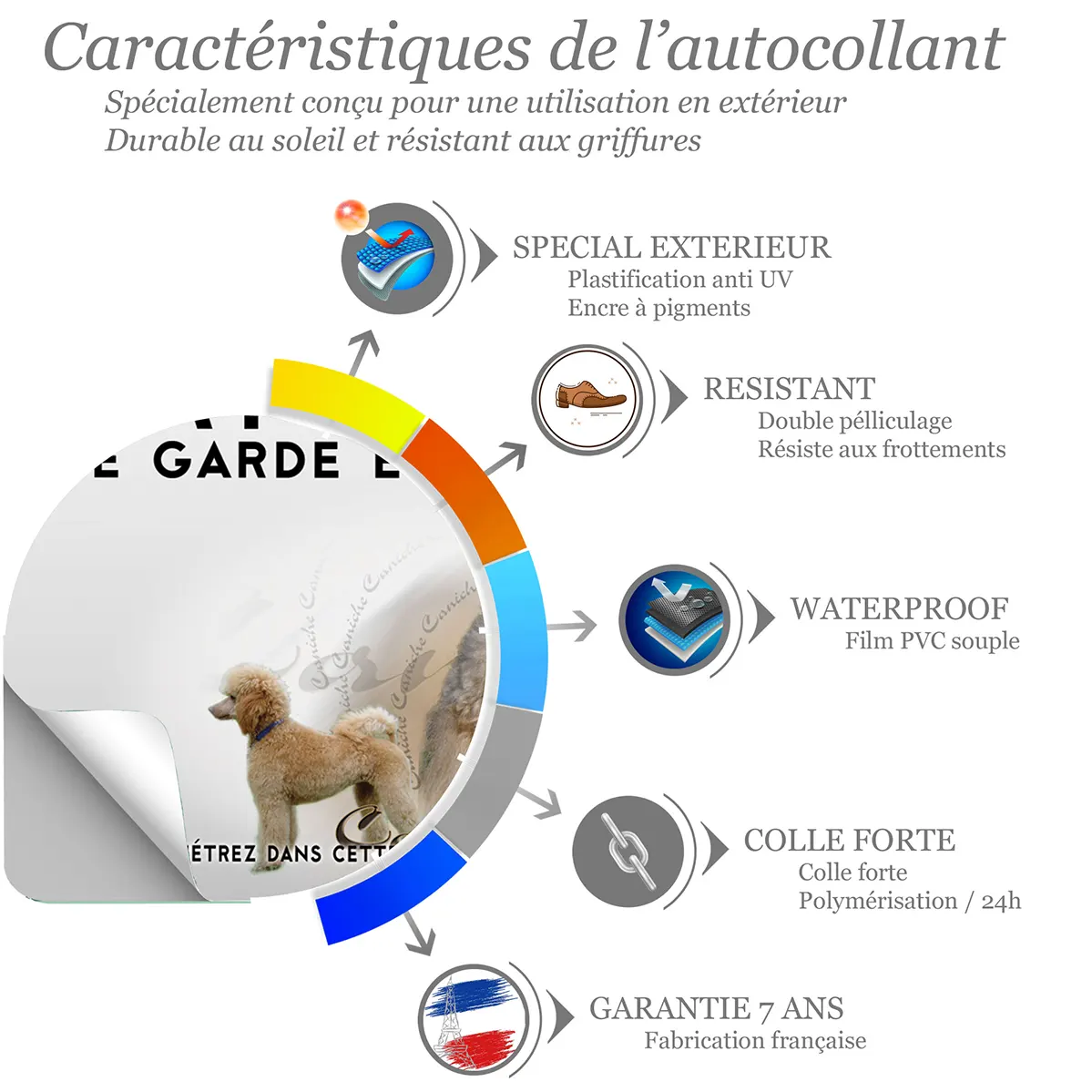 Sticker Deux Caniches