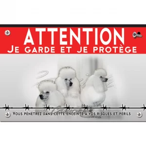 Signalisation personnalisee Trois caniches blancs avec un pelage soyeux et volumineux