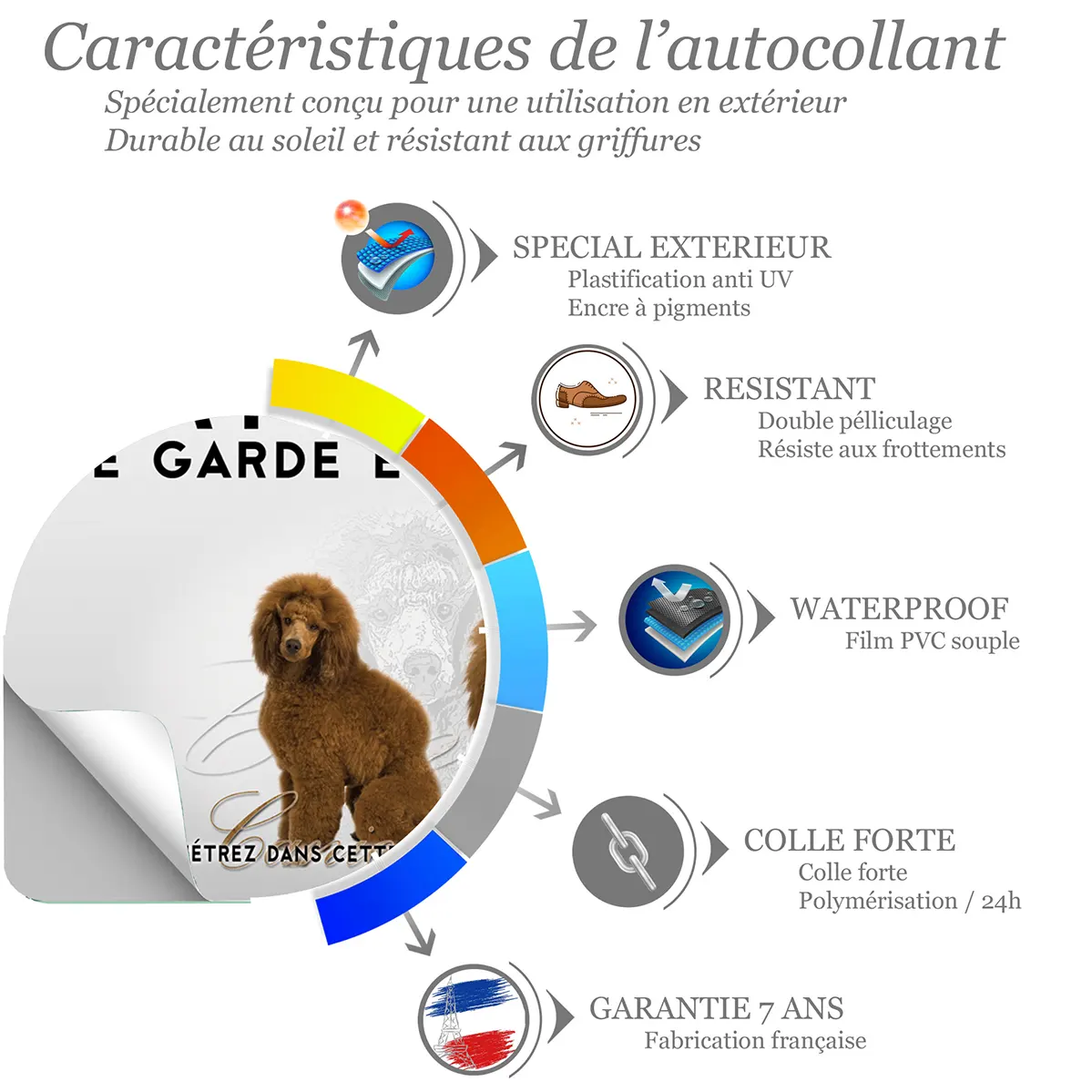 Sticker Deux caniches marron dans un design élégant