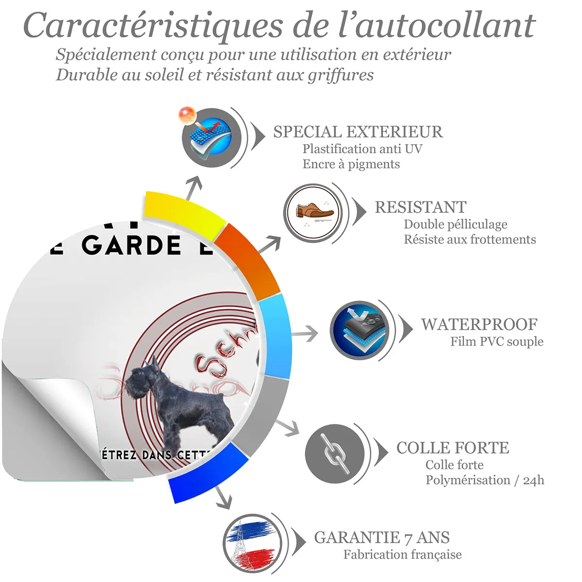 Sticker Illustration de plusieurs Schnauzers sur fond transparent