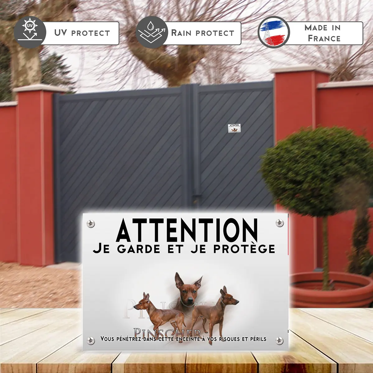 Plaques Trois Pinschers en différentes poses sur fond noir.