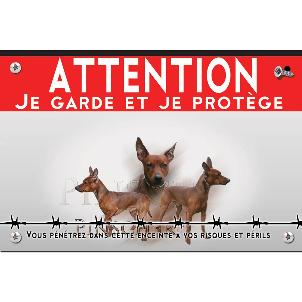 Signalisation personnalisee Trois Pinschers en différentes poses sur fond noir.