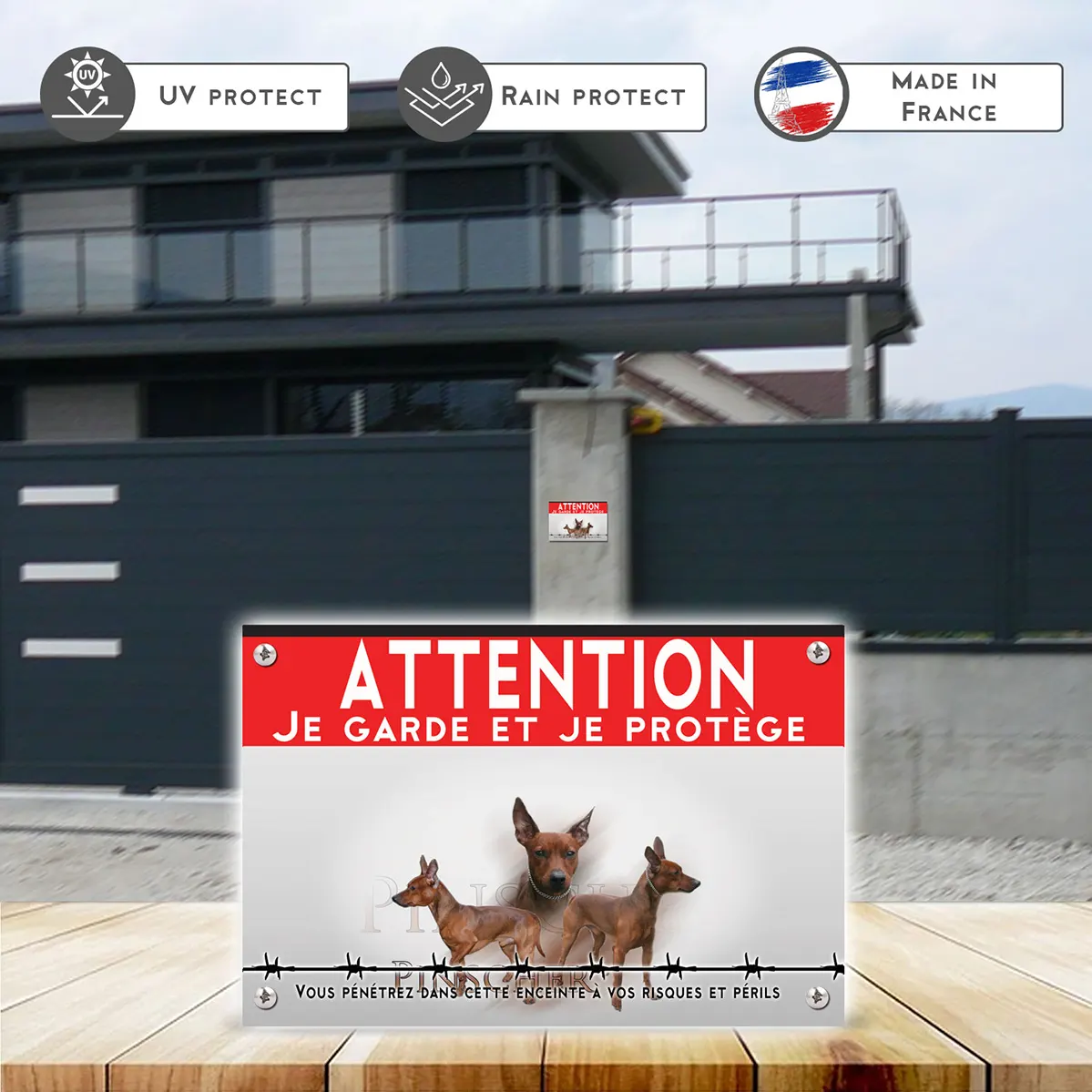 Grande pancarte Trois Pinschers en différentes poses sur fond noir.