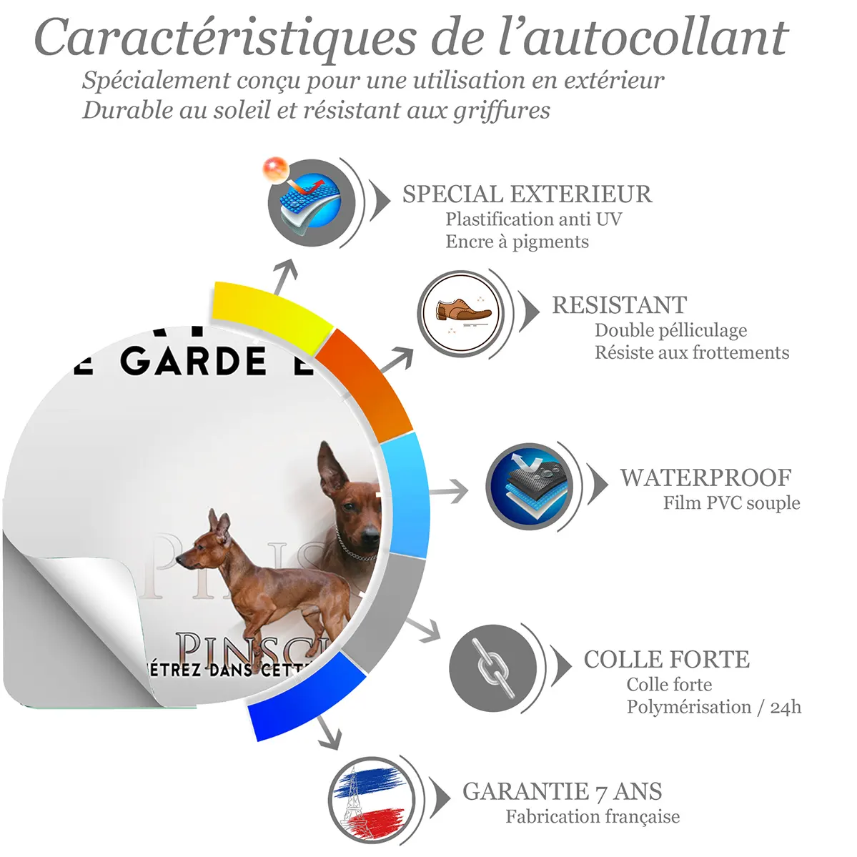 Sticker Trois Pinschers en différentes poses sur fond noir.