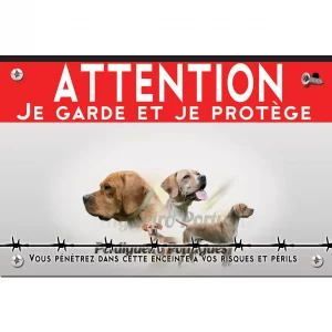 Signalisation personnalisee Trois chiens Perdigueiro Portugais avec divers angles et expressions
