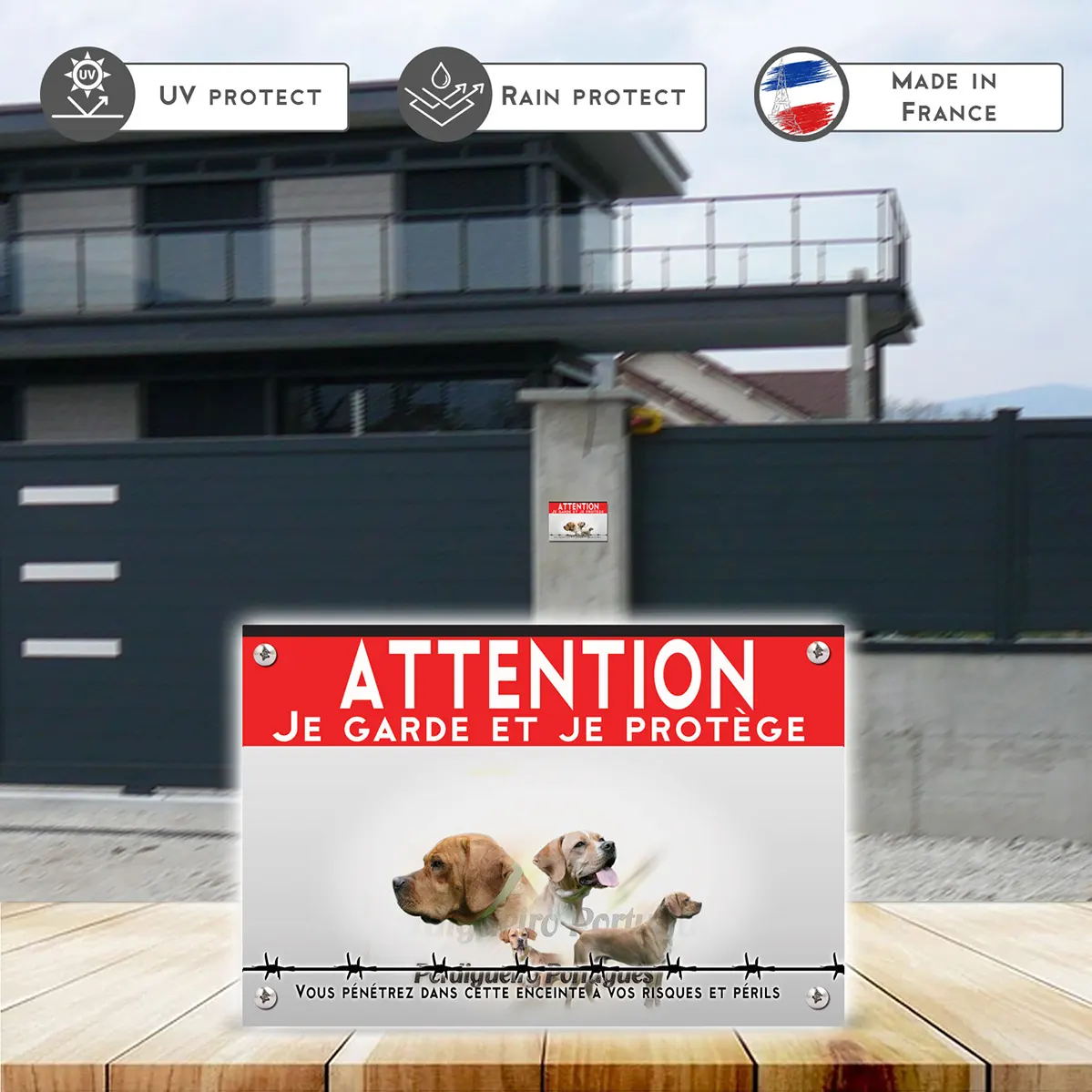 Grande pancarte Trois chiens Perdigueiro Portugais avec divers angles et expressions