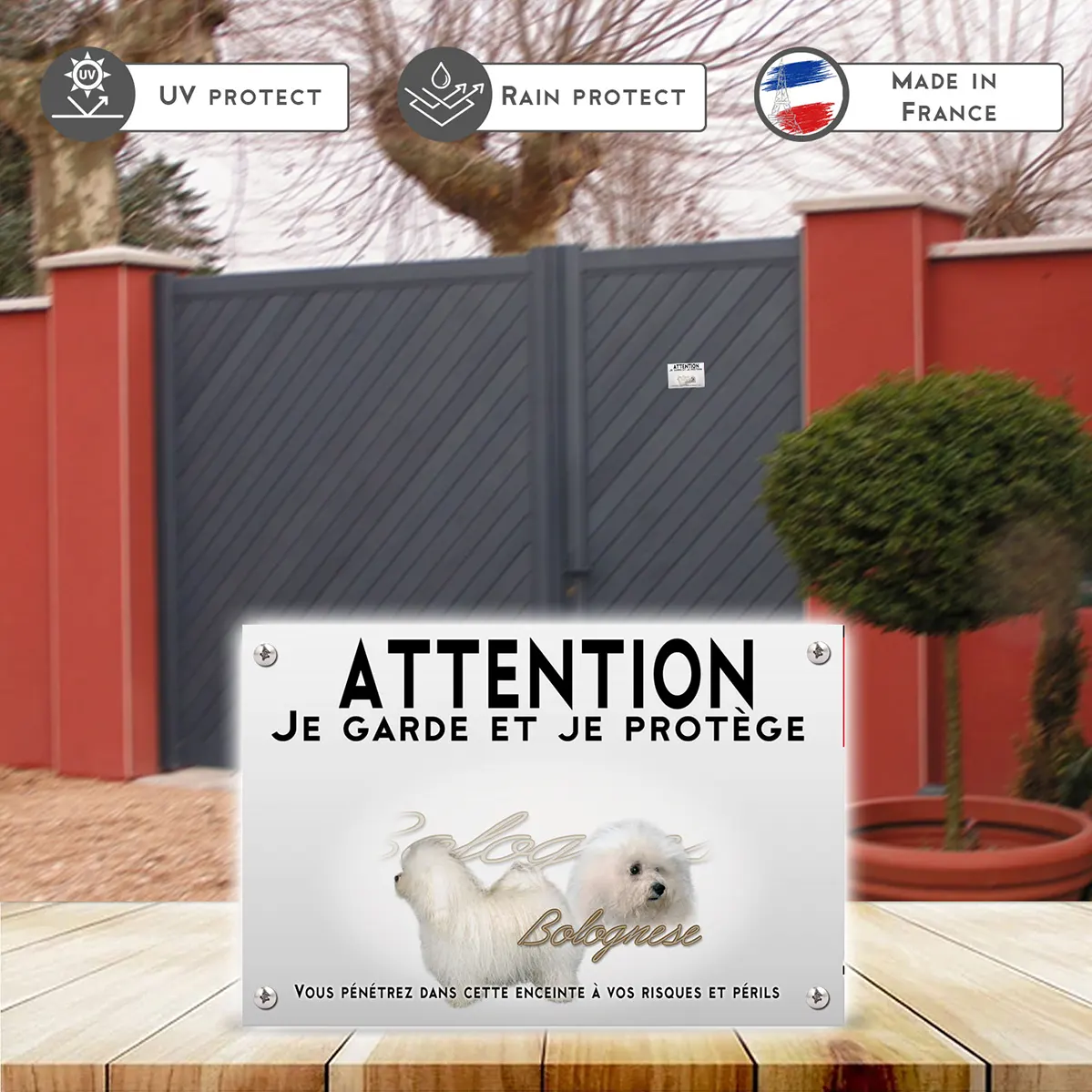 Plaques Deux chiens Bolognese aux pelages blancs et bouclés