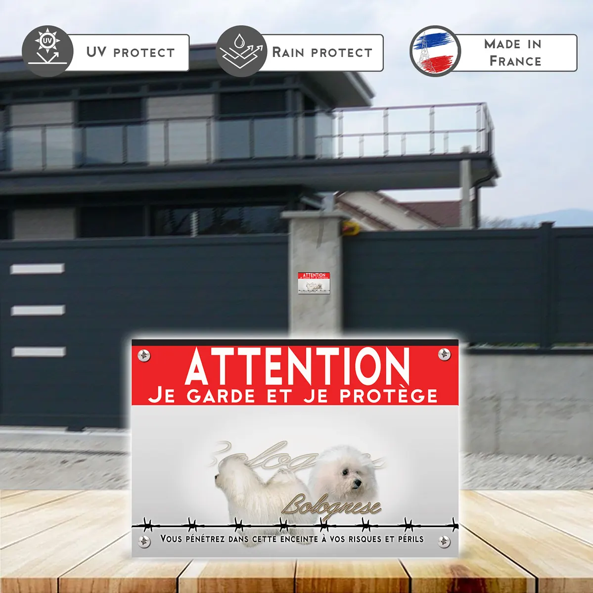 Grande pancarte Deux chiens Bolognese aux pelages blancs et bouclés